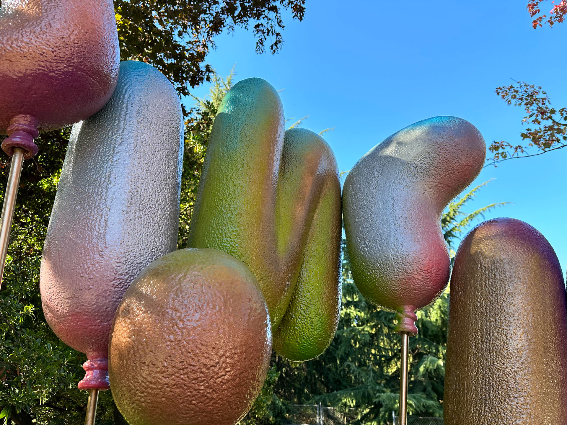 Neighbors- detail 1.jpg