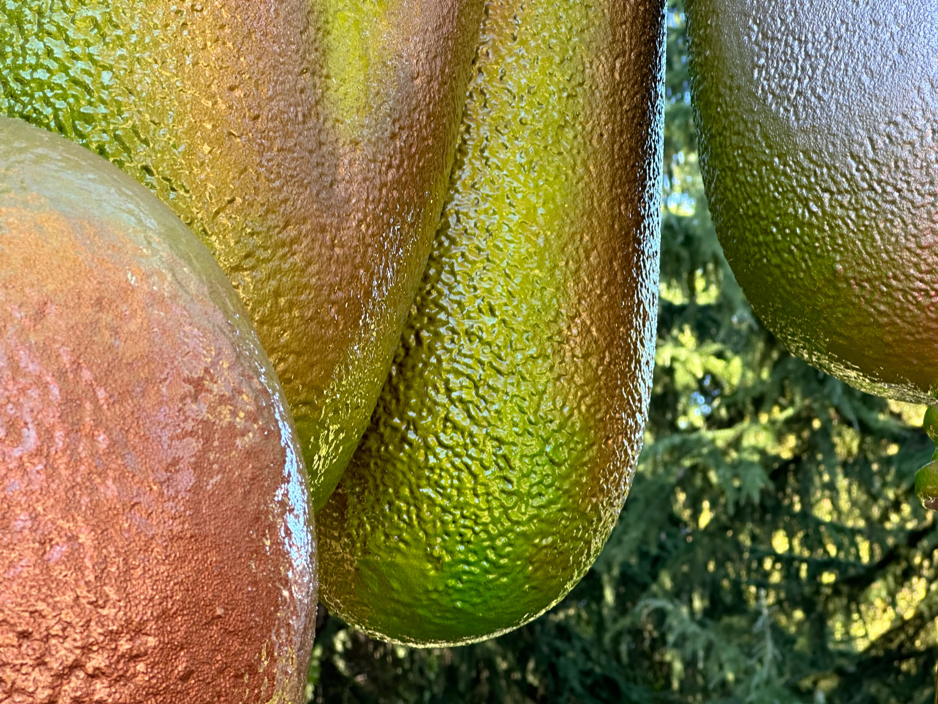 Neighbors- detail 2.jpg